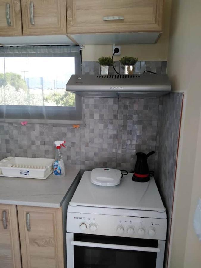 Iro-Kostas House 2 Apartment โดรเซีย ภายนอก รูปภาพ
