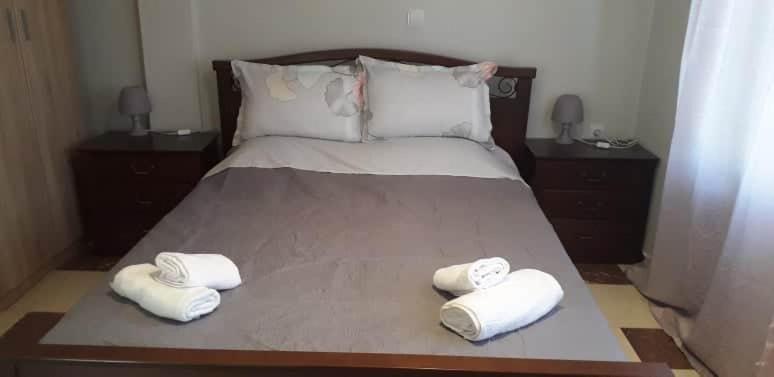 Iro-Kostas House 2 Apartment โดรเซีย ภายนอก รูปภาพ